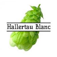 хмель Hallertau Blanc, 8.1 Германия, 50 гр хмель Hallertau Blanc, 8.1 Германия, 50 гр