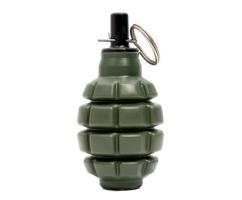 Граната учебно-имитационная БК Рекрут 1 Г4 (горох) Ф1