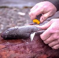 Нож Morakniv Companion F Orange с оранжевыми накладками