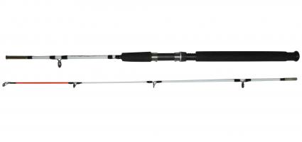 Спиннинг Crocodile (Chengxu) тест 100-250G 2,1М штекерный белый
